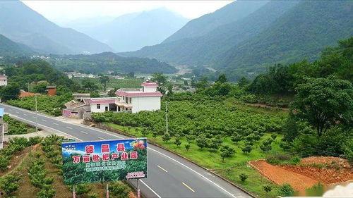 开局被卖我在王府开启逆袭之路,我的逆袭之路